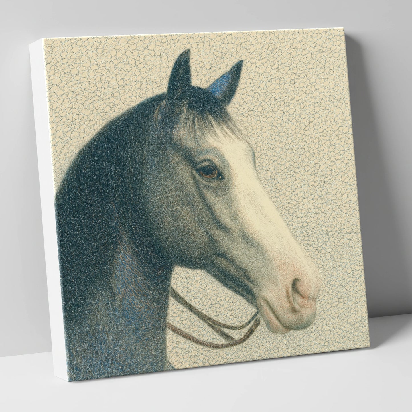 Noble Grey Portrait horse portrait canvas wall art