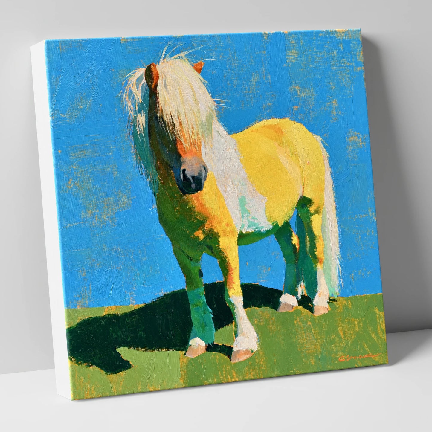 Sunlit Shetland Pony Portrait horse breed canvas wall art