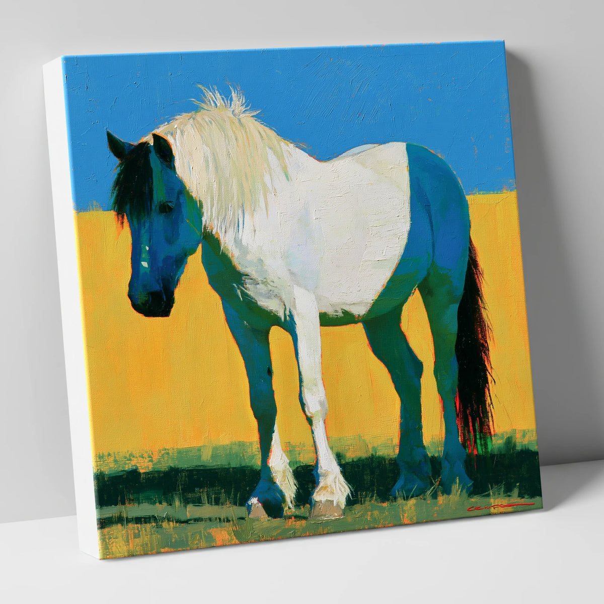 Bold Blue and White Cob horse breed canvas wall art