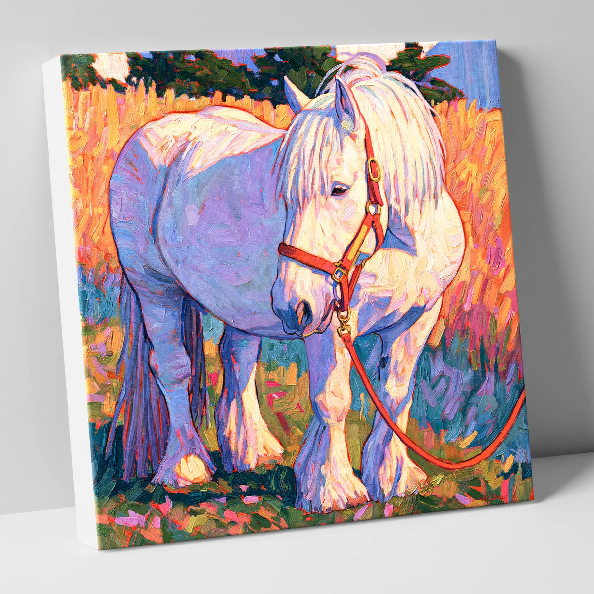 Feathered Cob in Vibrant Light horse breed canvas wall art