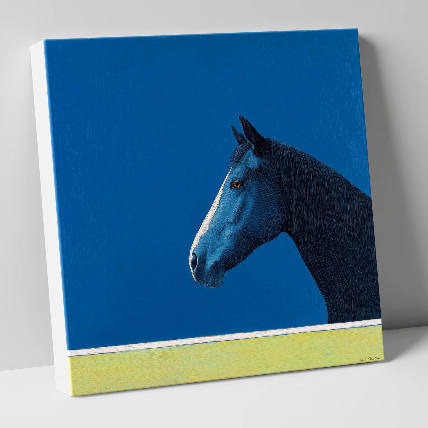 Midnight Blue Blaze horse portrait canvas wall art