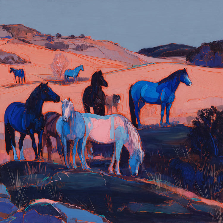 Dartmoor Pony Wall Art