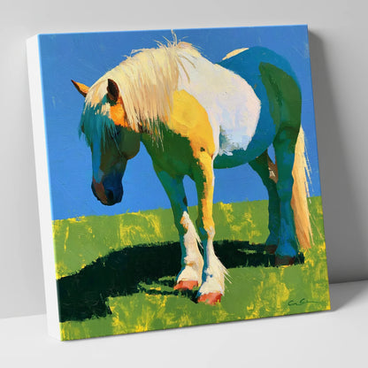 Colourful Cob in Summer Sunlight horse breed canvas wall art