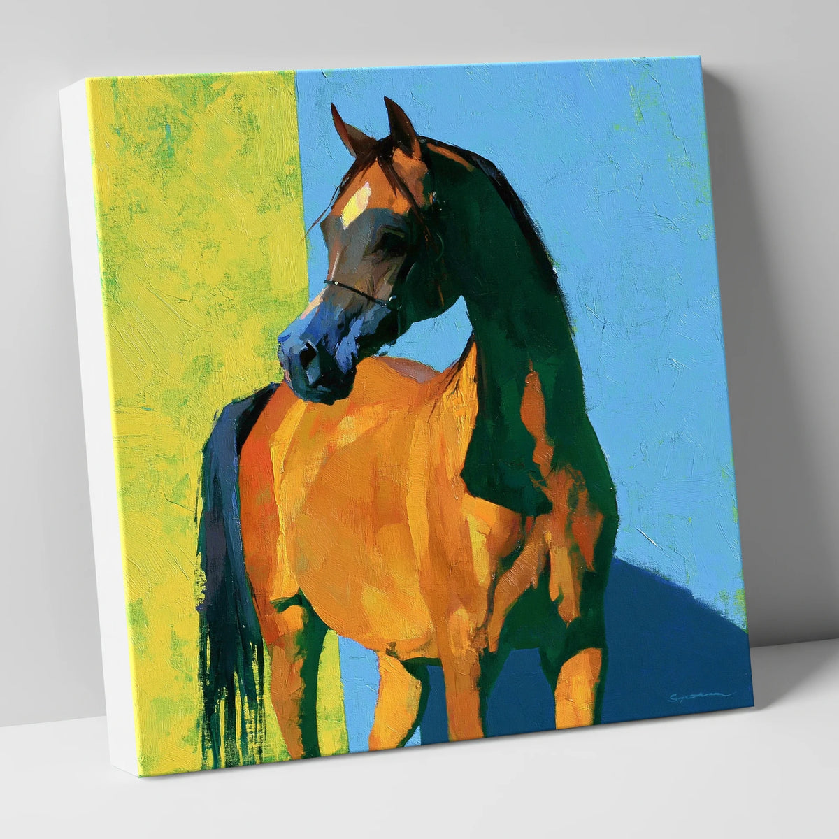 Arabian Horse in Bold Colours horse breed canvas wall art