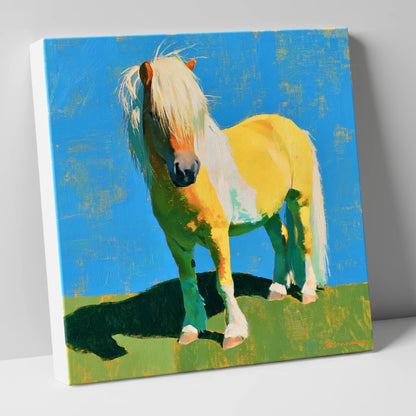 Sunlit Shetland Pony Portrait horse breed canvas wall art