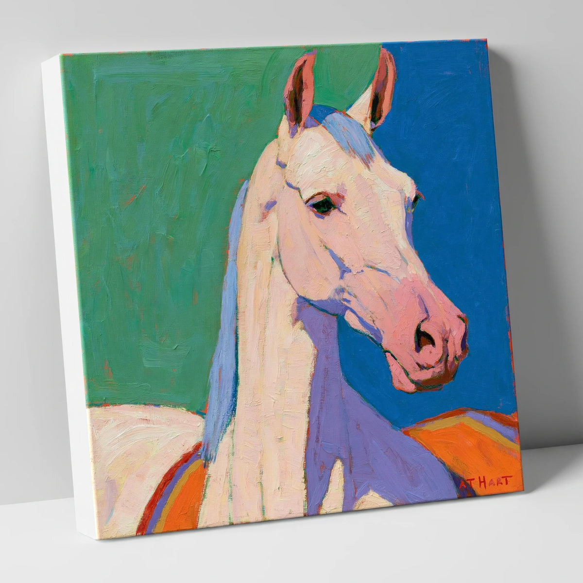 Vibrant Grey Arabian Horse horse breed canvas wall art