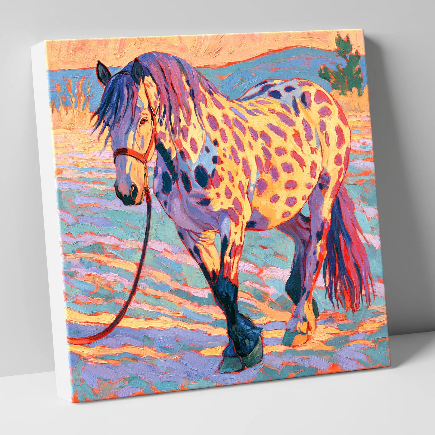Colourful Appaloosa in Sunset Light horse breed canvas wall art