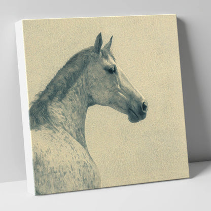 The Dappled Profile horse breed canvas wall art
