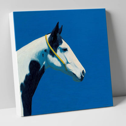 Azure Piebald Profile horse breed canvas wall art