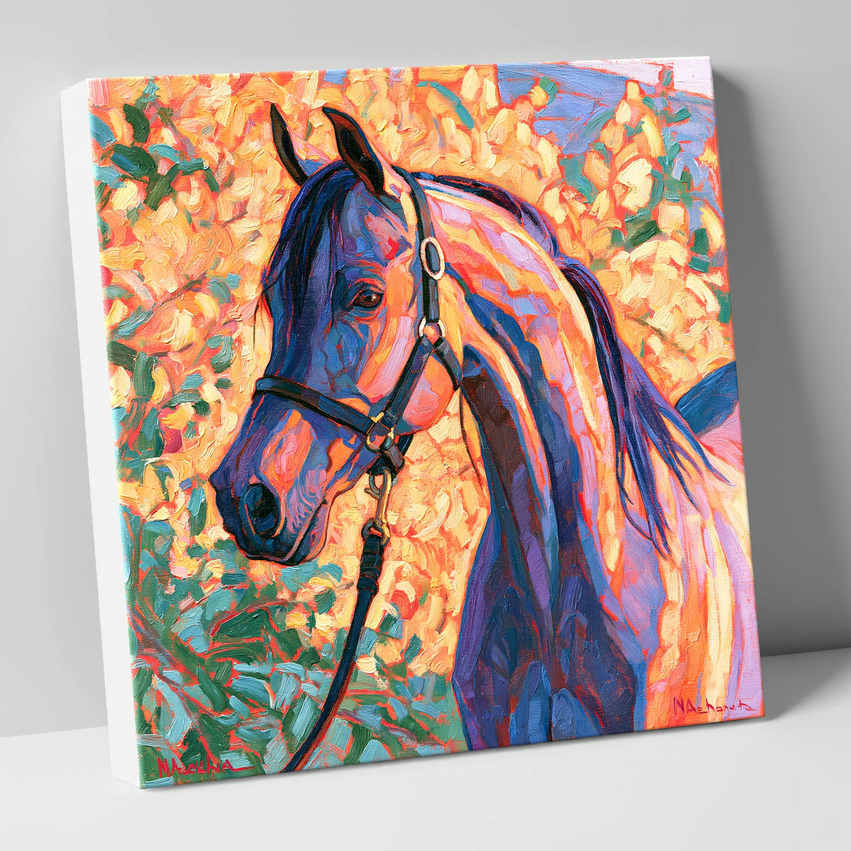Arabian Horse in Vibrant Colours horse breed canvas wall art