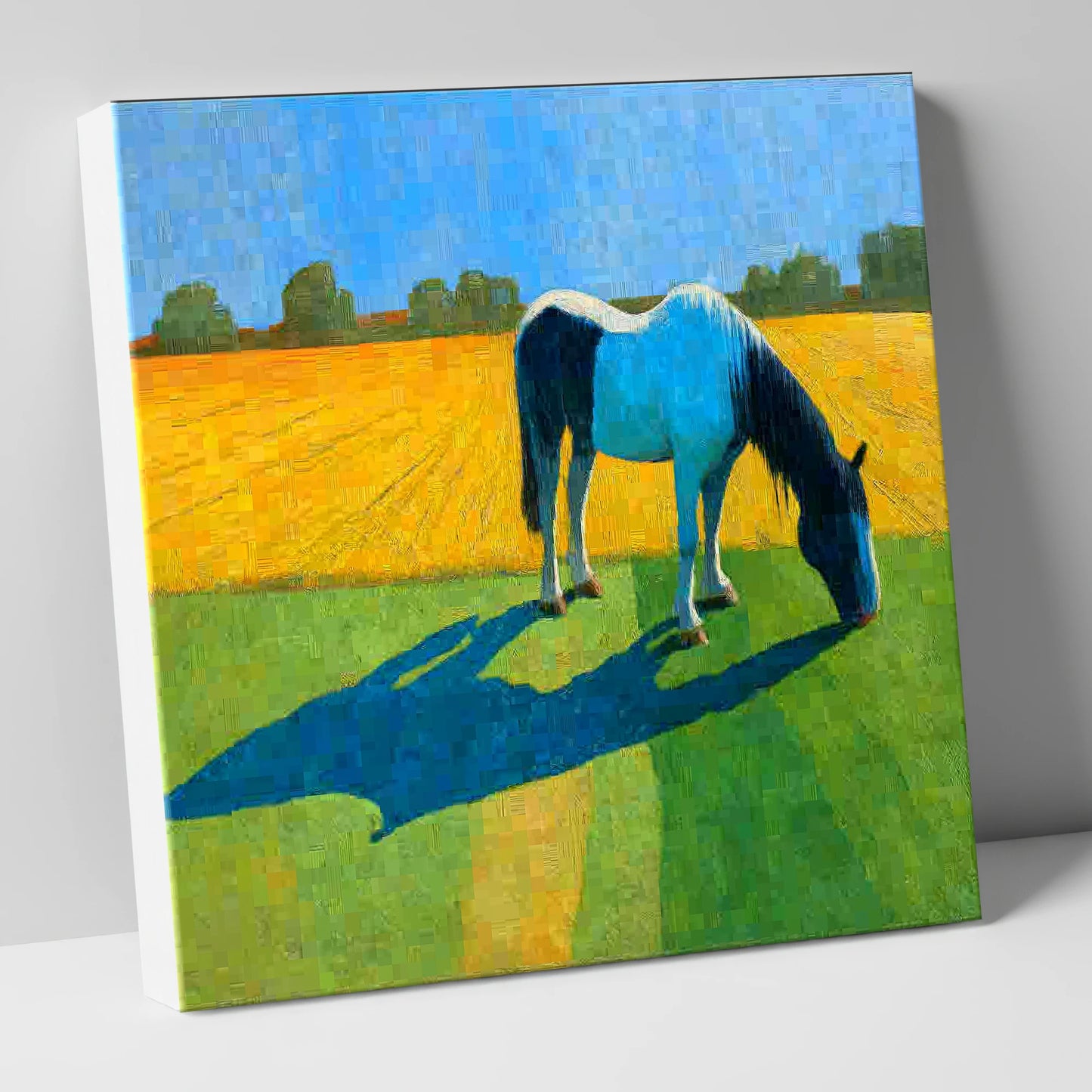 Sunlit Piebald Grazer working horse canvas wall art