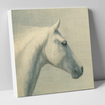 Classic Grey Profile horse breed canvas wall art