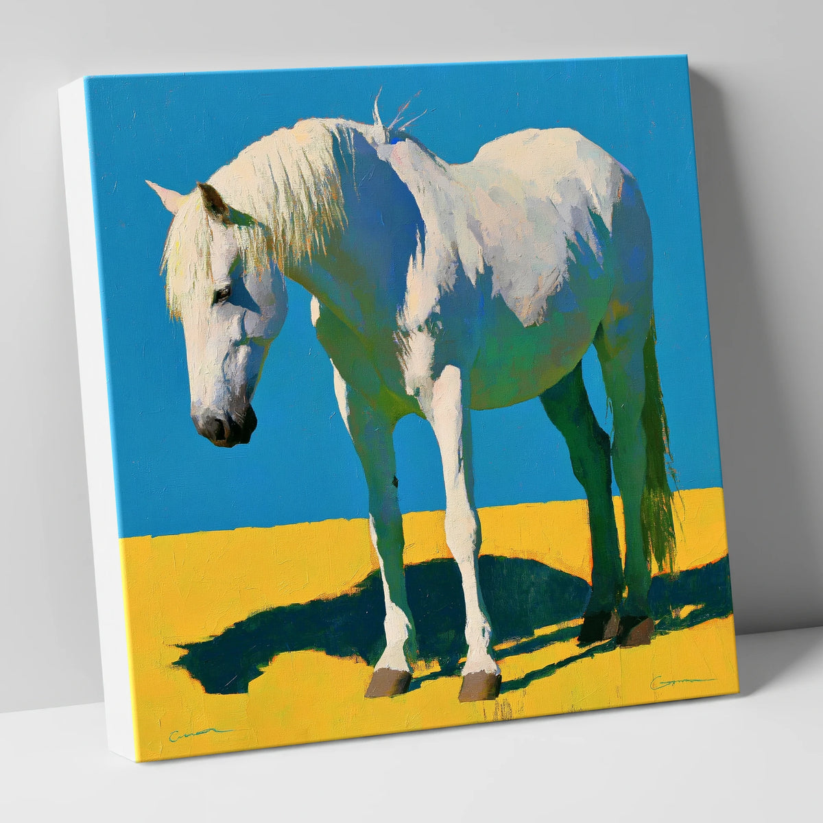 Sunlit Grey Horse Blue Sky horse breed canvas wall art