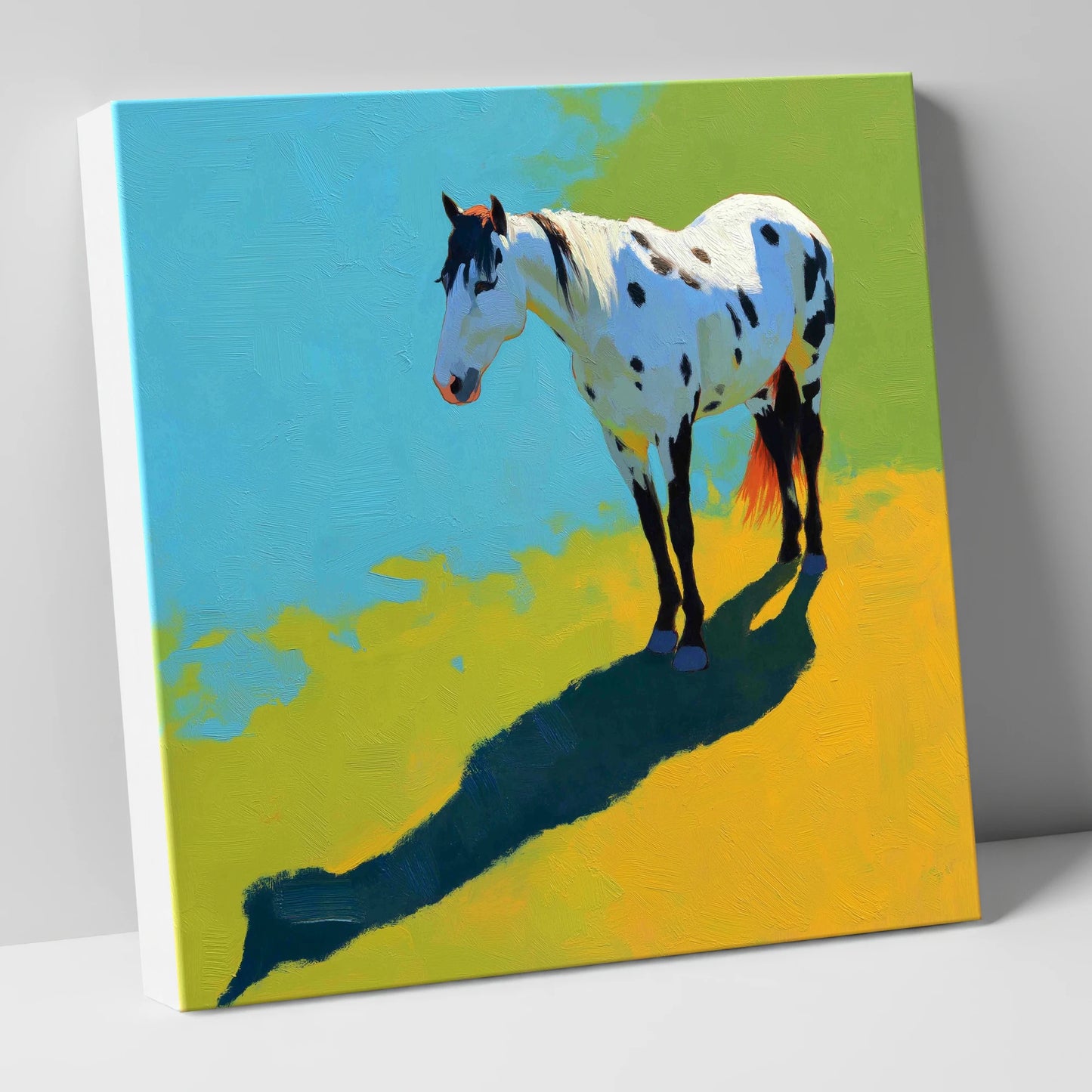 Sunlit Appaloosa Shadow horse breed canvas wall art