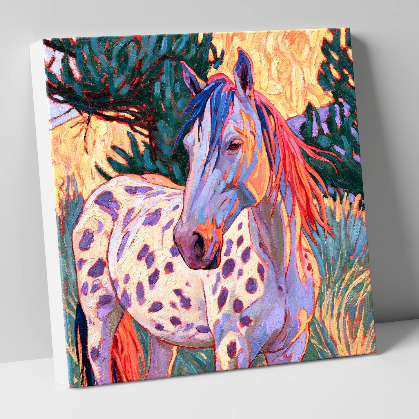 Colourful Spotted Appaloosa Horse horse breed canvas wall art
