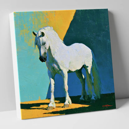 Grey Horse in Vivid Sunlight horse breed canvas wall art