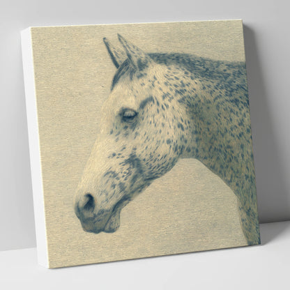 Meticulous Equine Profile horse breed canvas wall art