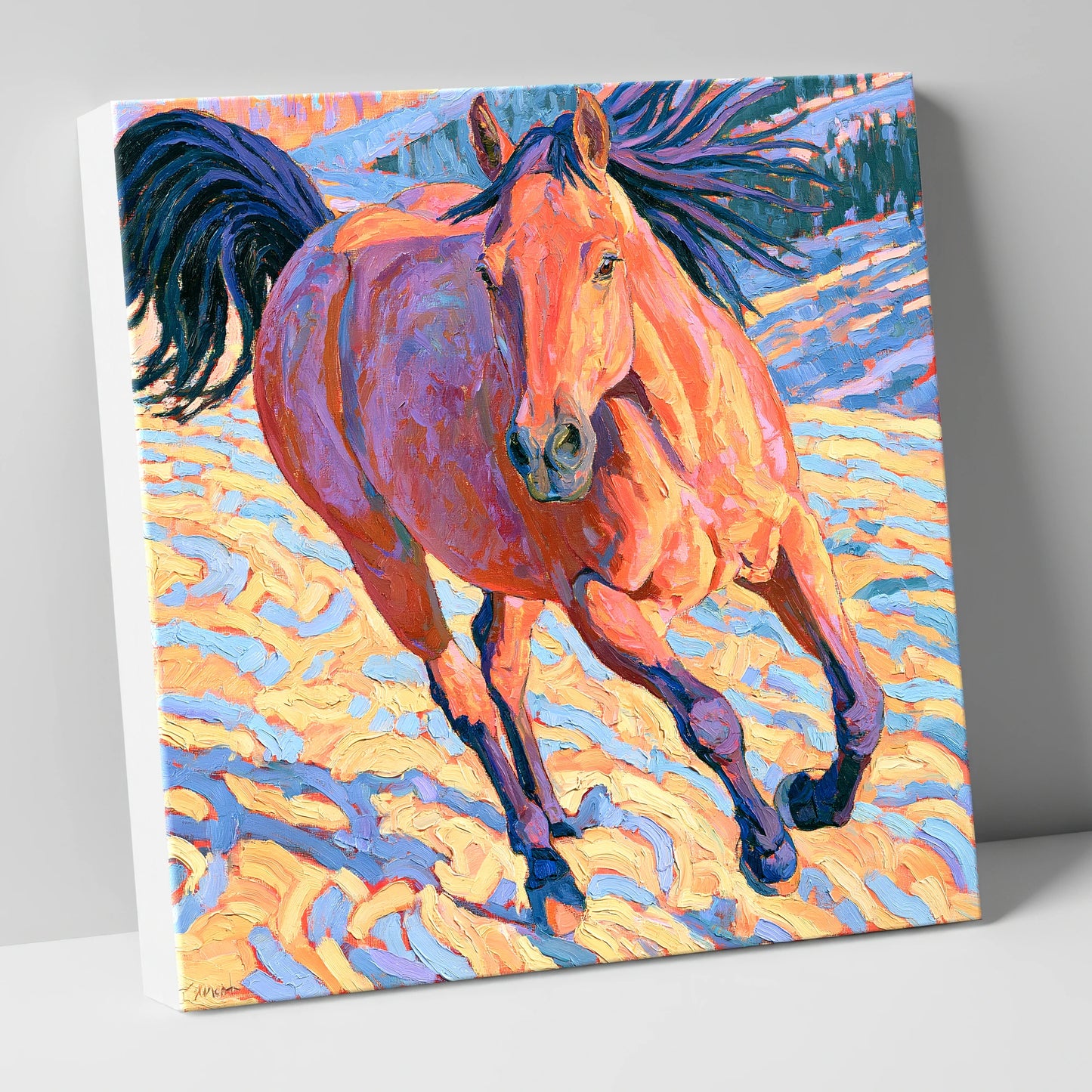 Vibrant Horse at a Canter horse breed canvas wall art