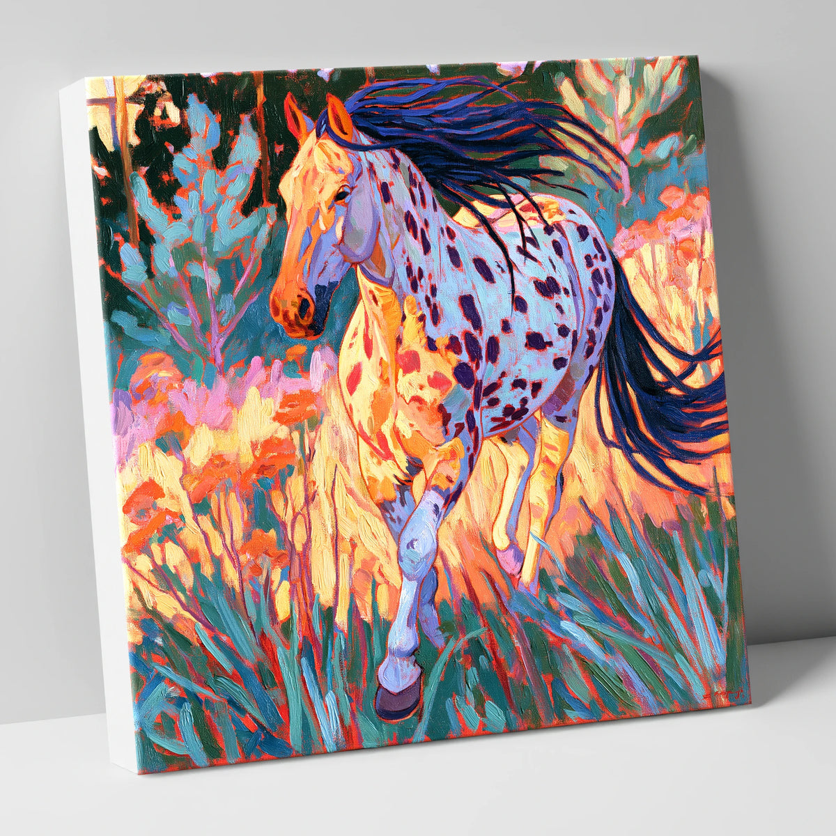 Colourful Appaloosa at Canter horse breed canvas wall art