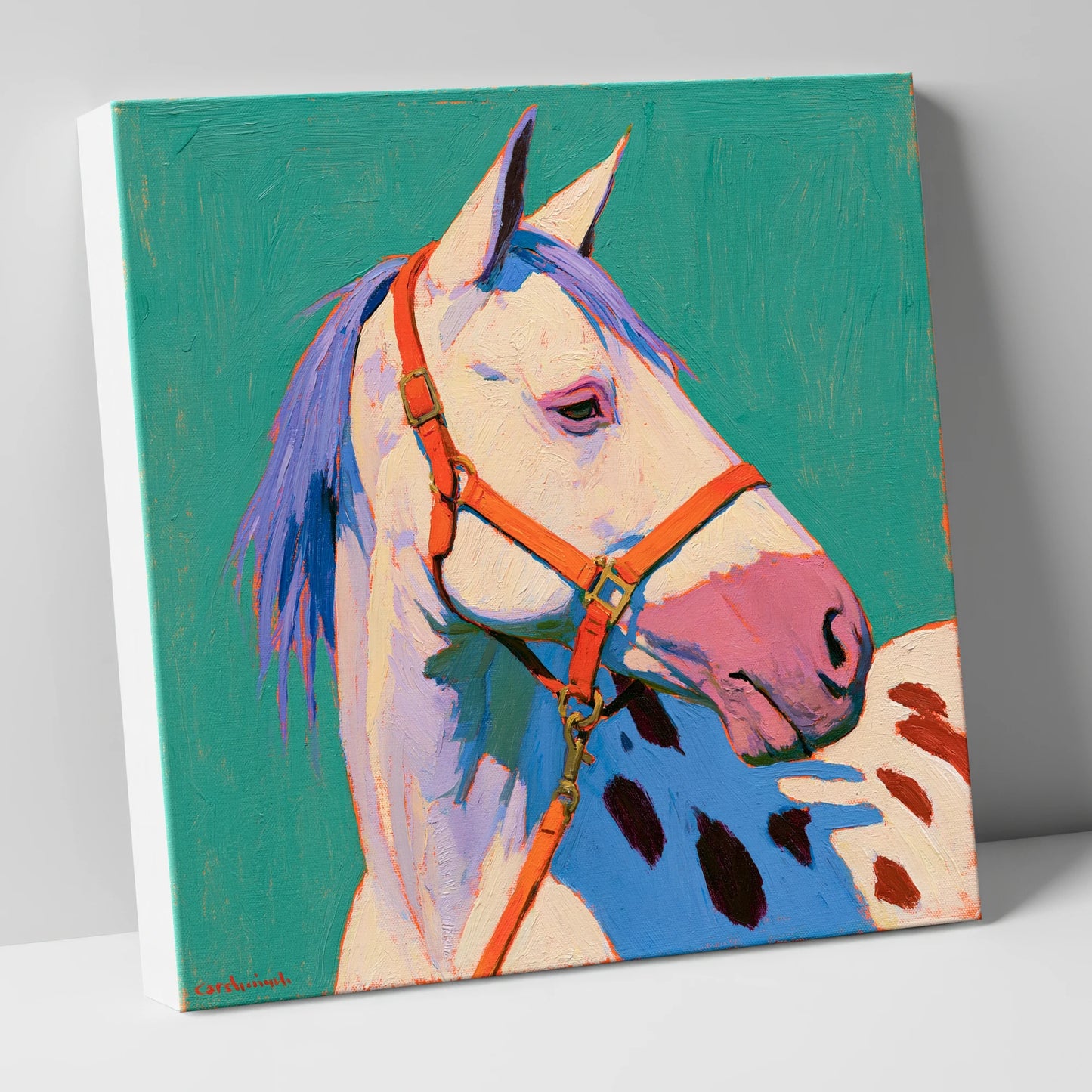 Colourful Appaloosa on Teal Background horse breed canvas wall art