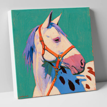 Colourful Appaloosa on Teal Background horse breed canvas wall art