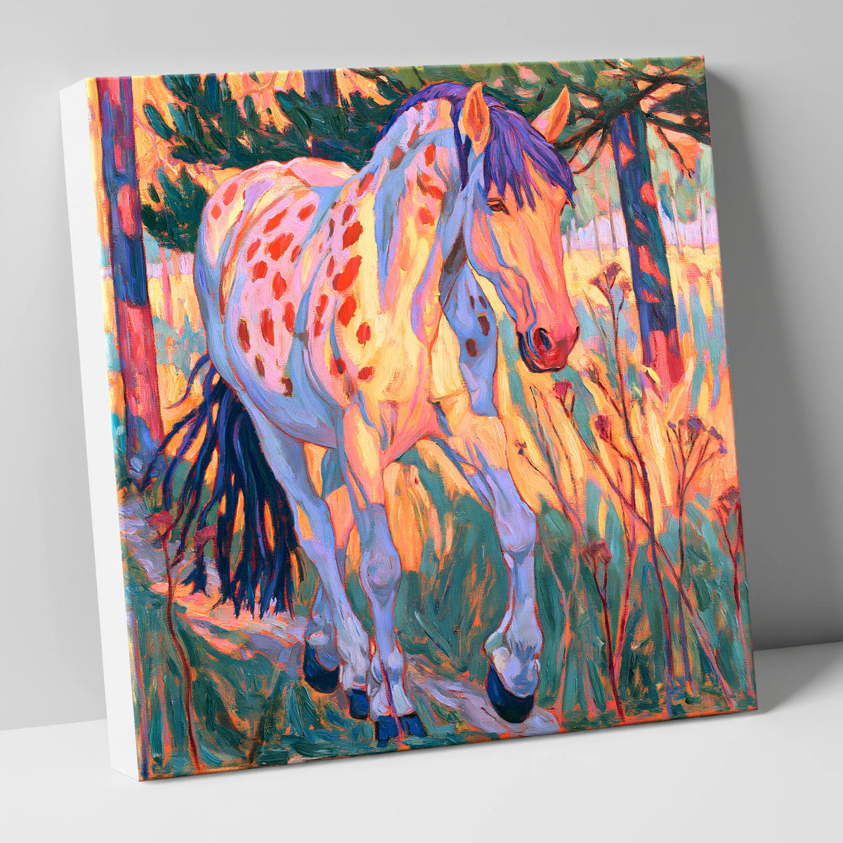 Vibrant Appaloosa In Tall Grass horse breed canvas wall art