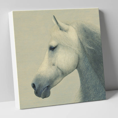 Timeless Grey Profile horse breed canvas wall art