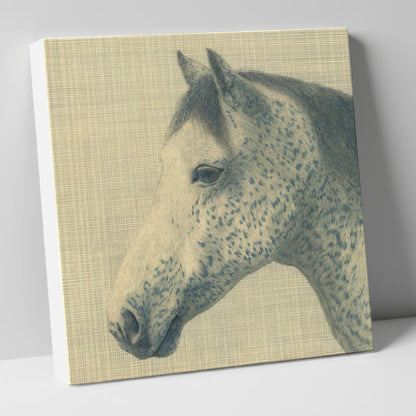 Meticulous Speckled Grey horse breed canvas wall art