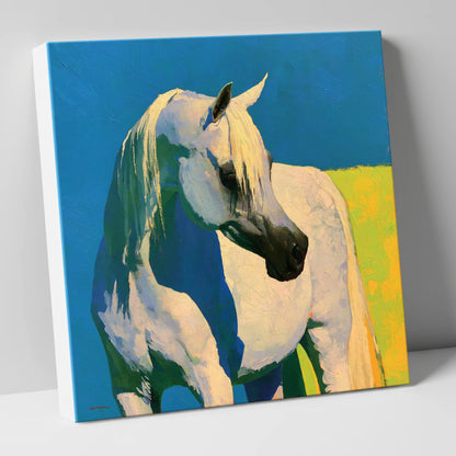 Sunlit Grey Arabian Horse horse breed canvas wall art