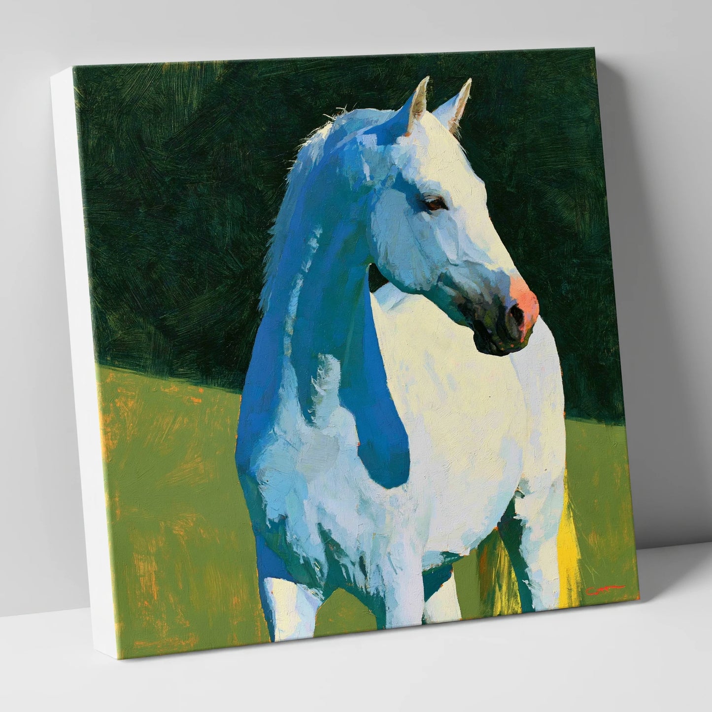 Grey Horse with Blue Shadows horse breed canvas wall art