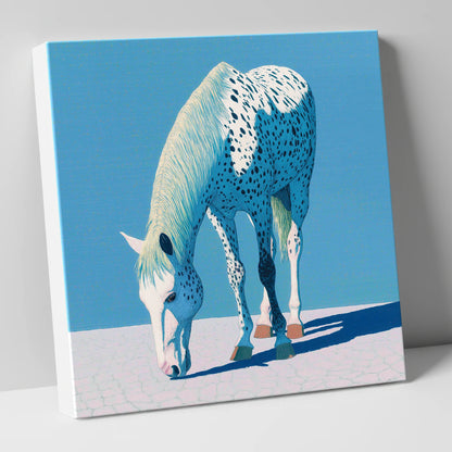 Azure Appaloosa horse breed canvas wall art