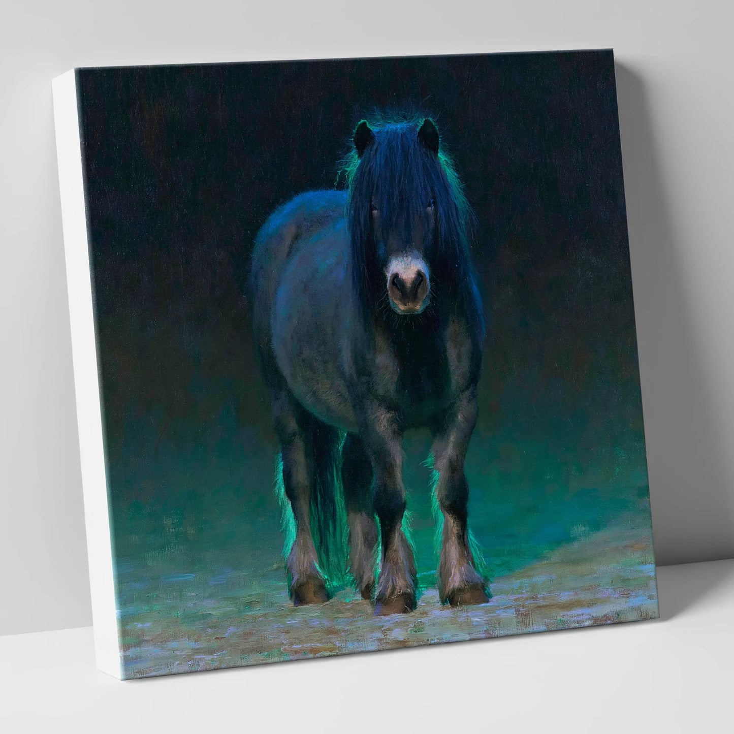 Black Shetland Pony in Moonlight horse breed canvas wall art