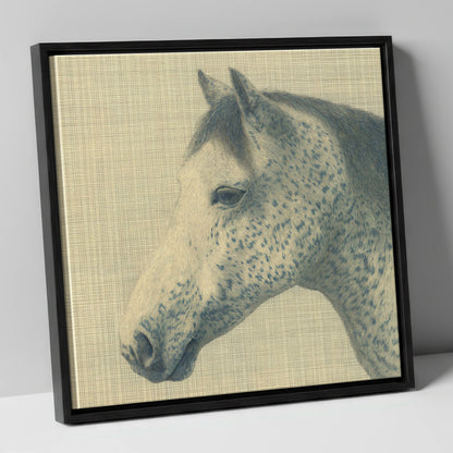 Meticulous Speckled Grey horse breed canvas wall art in black frame