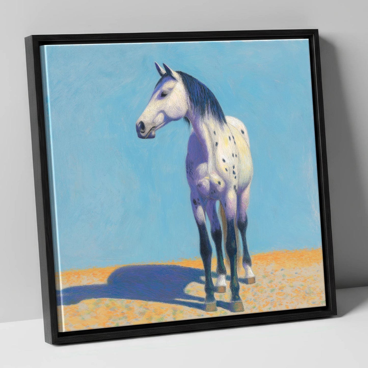 The Sunlit Appaloosa horse breed canvas wall art in black frame