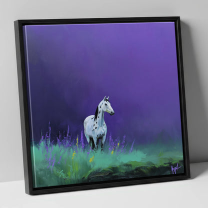 Twilight Appaloosa horse breed canvas wall art in black frame