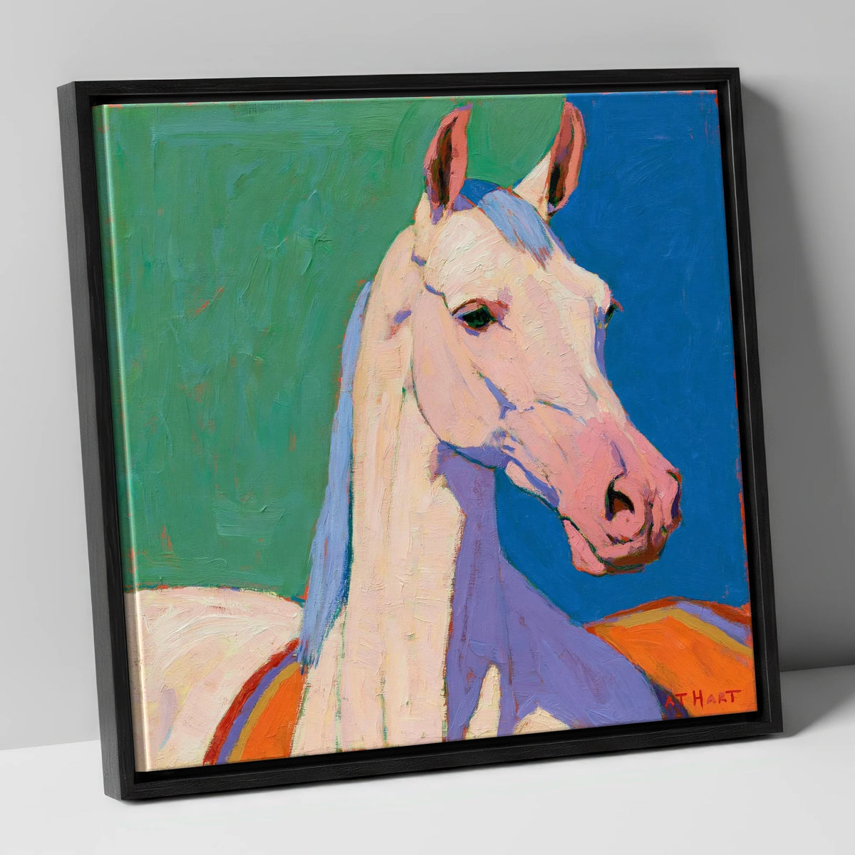 Vibrant Grey Arabian Horse horse breed canvas wall art in black frame