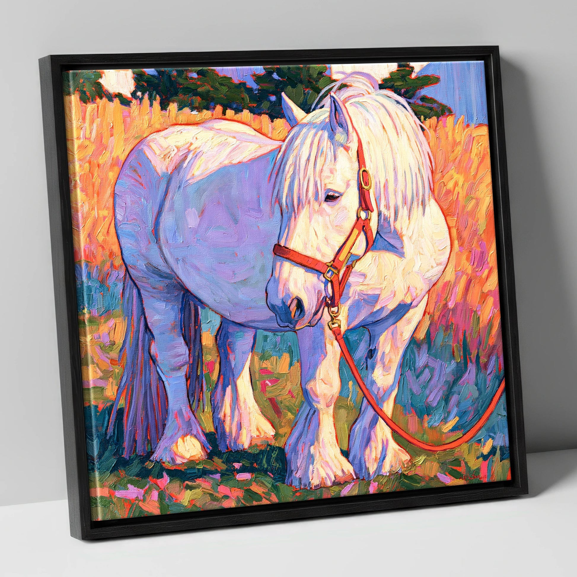 Feathered Cob in Vibrant Light horse breed canvas wall art in black frame