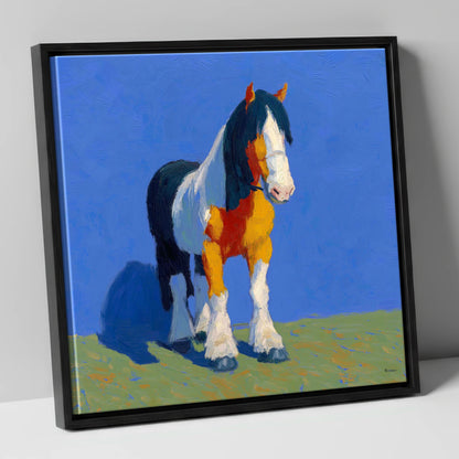 Sunlit Coloured Cob horse breed canvas wall art in black frame