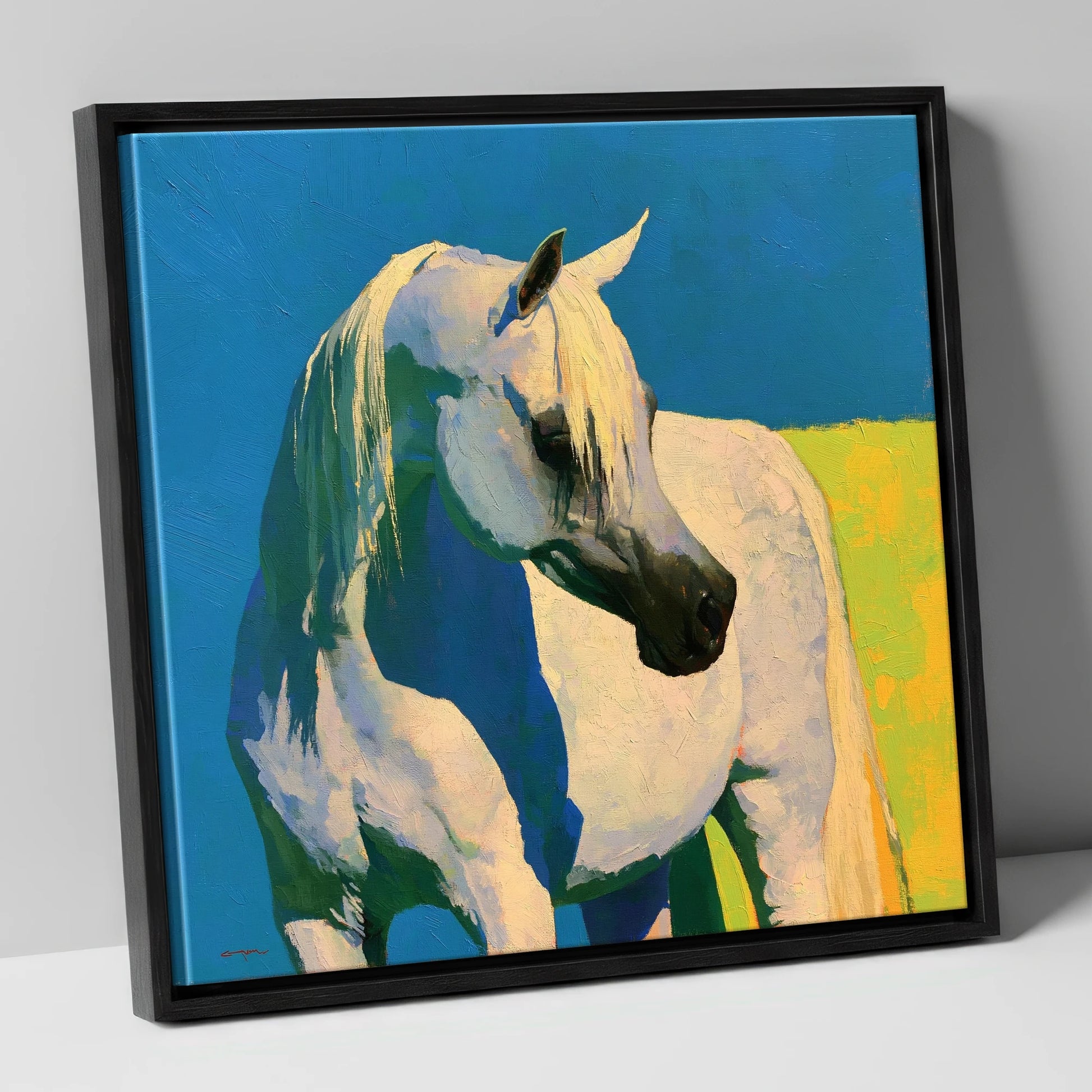 Sunlit Grey Arabian Horse horse breed canvas wall art in black frame