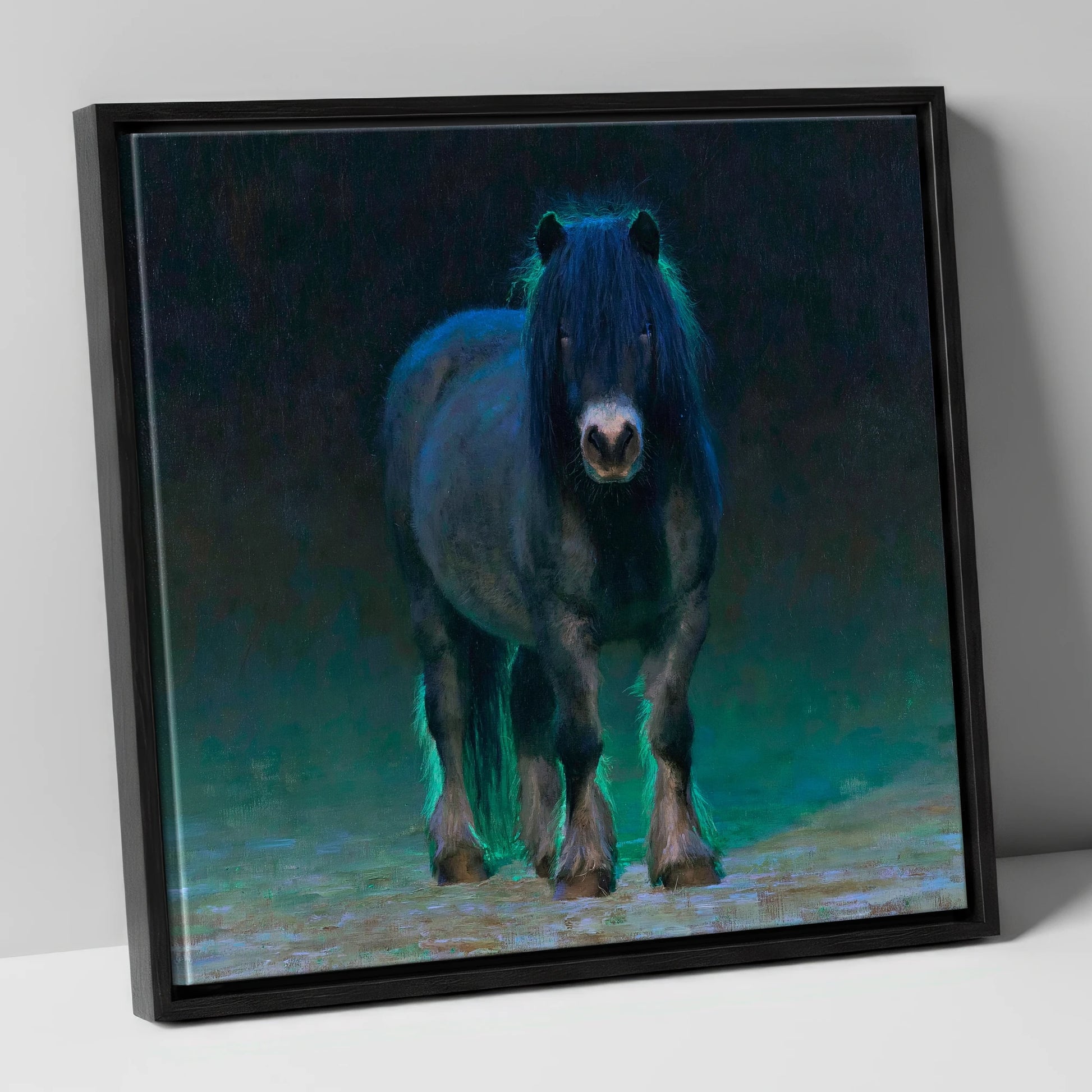 Black Shetland Pony in Moonlight horse breed canvas wall art in black frame