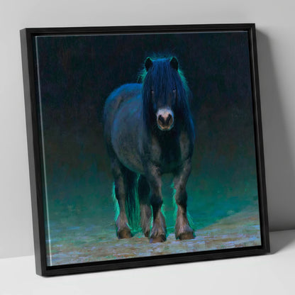 Black Shetland Pony in Moonlight horse breed canvas wall art in black frame