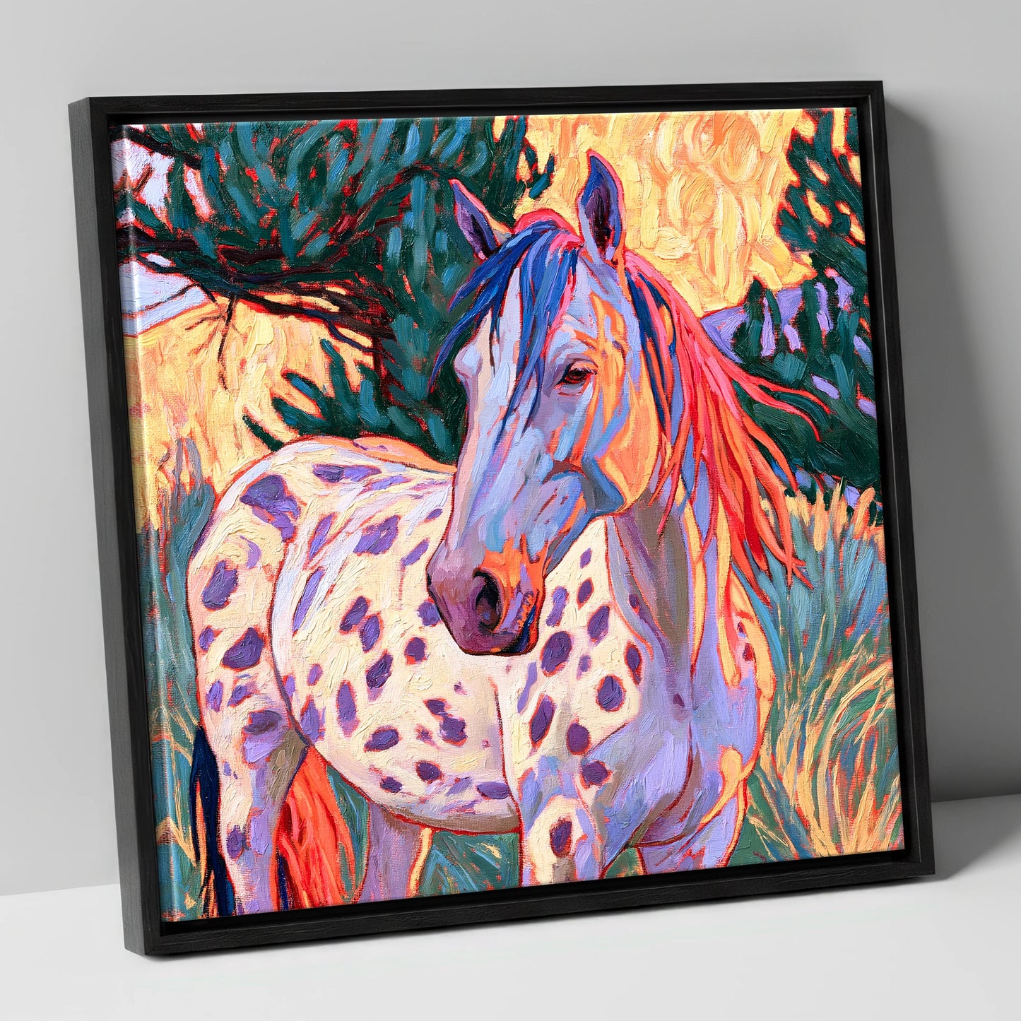 Colourful Spotted Appaloosa Horse horse breed canvas wall art in black frame
