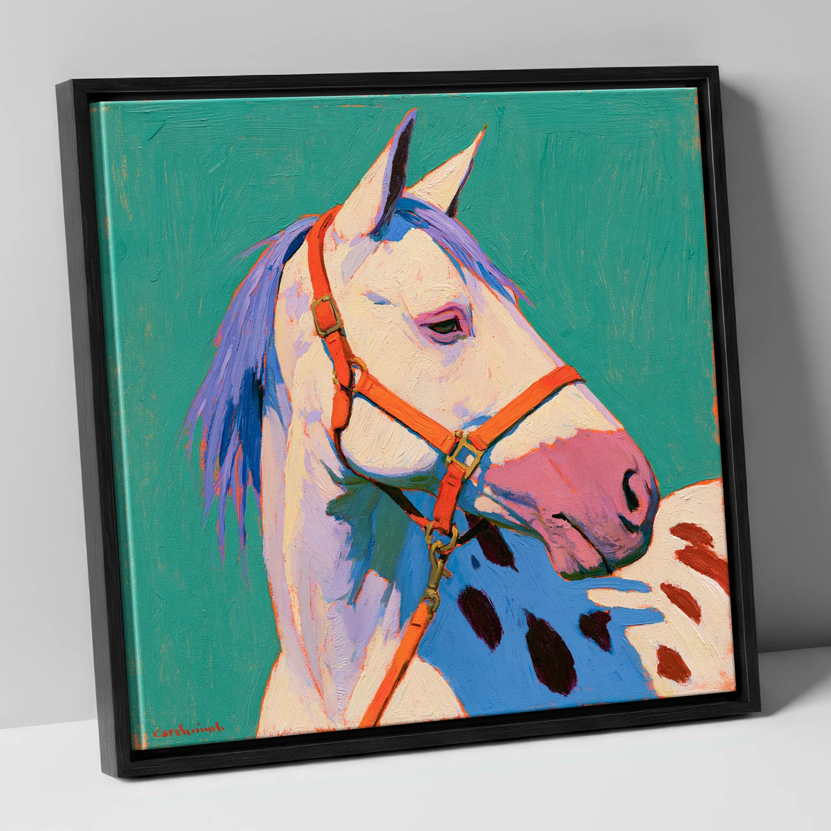 Colourful Appaloosa on Teal Background horse breed canvas wall art in black frame