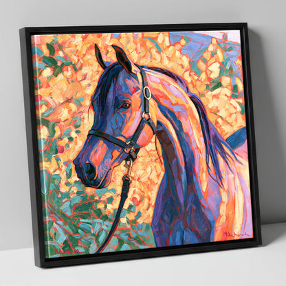 Arabian Horse in Vibrant Colours horse breed canvas wall art in black frame