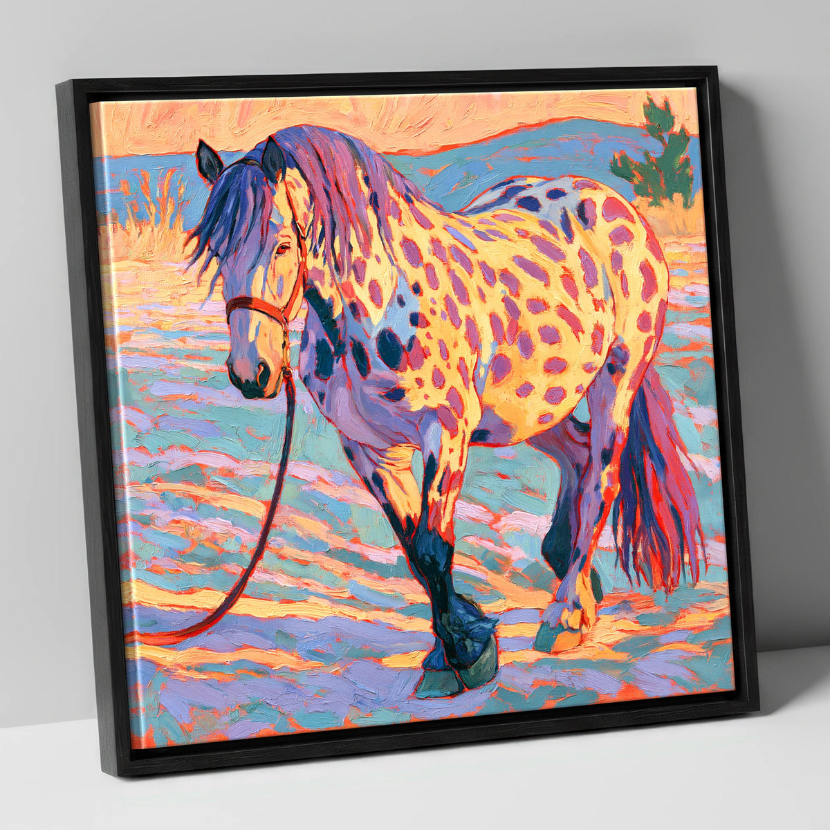 Colourful Appaloosa in Sunset Light horse breed canvas wall art in black frame