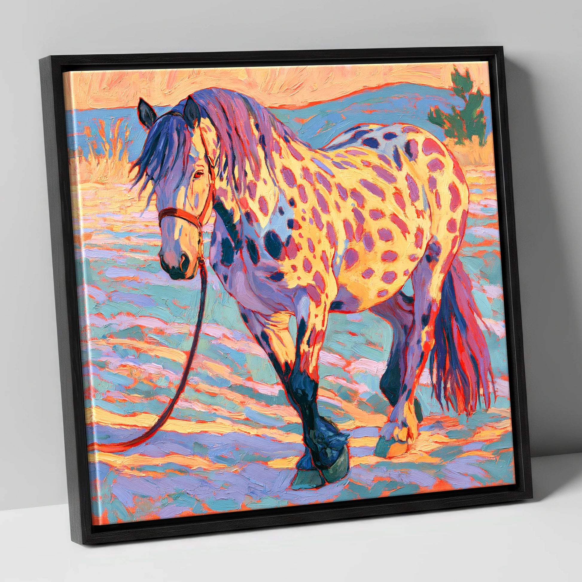 Colourful Appaloosa in Sunset Light horse breed canvas wall art in black frame