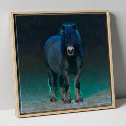 Black Shetland Pony in Moonlight horse breed canvas wall art in natural frame