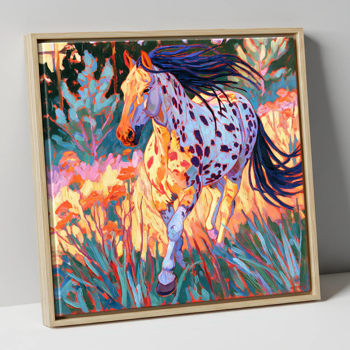 Colourful Appaloosa at Canter horse breed canvas wall art in natural frame
