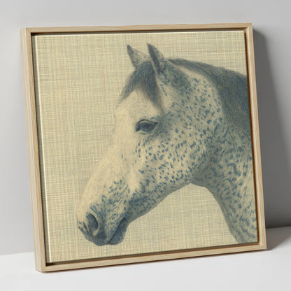 Meticulous Speckled Grey horse breed canvas wall art in natural frame