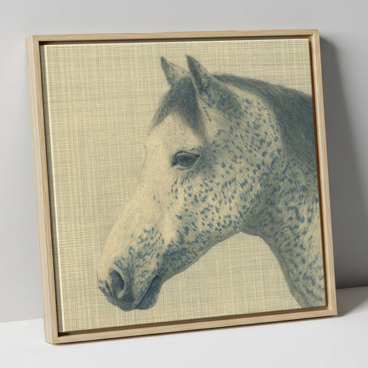 Meticulous Speckled Grey horse breed canvas wall art in natural frame